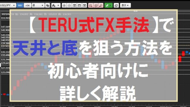 TERU式FX手法